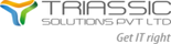 Triassic Solutions